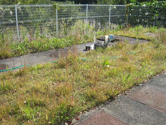 十六沼公園建物全景