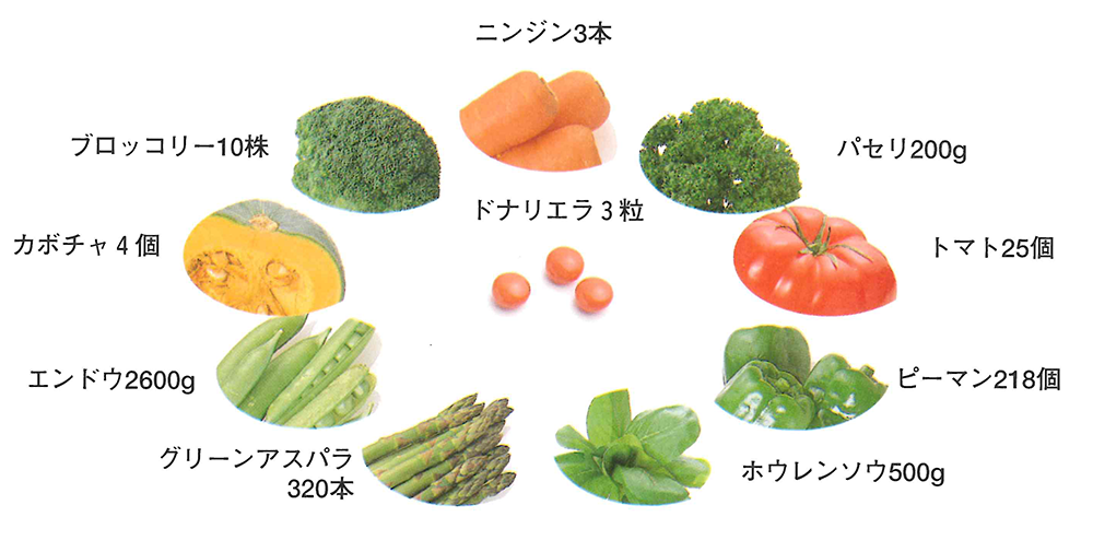 ドナリエラ3粒で摂れる栄養素